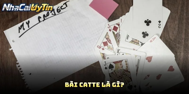 Bài Catte Là Gì?