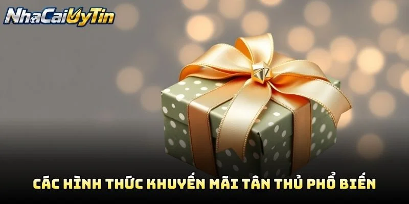 Các Hình Thức Khuyến Mãi Tân Thủ Phổ Biến