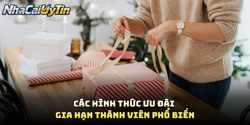 Các Hình Thức Ưu Đãi Gia Hạn Thành Viên Phổ Biến