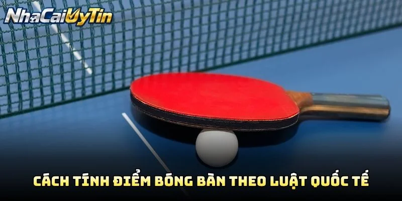 Cách Tính Điểm Bóng Bàn Theo Luật Quốc Tế