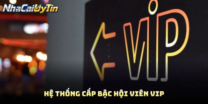 Hệ Thống Cấp Bậc Hội Viên VIP