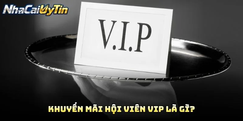 Khuyến Mãi Hội Viên VIP Là Gì?