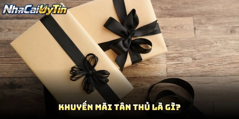 Khuyến Mãi Tân Thủ Là Gì?