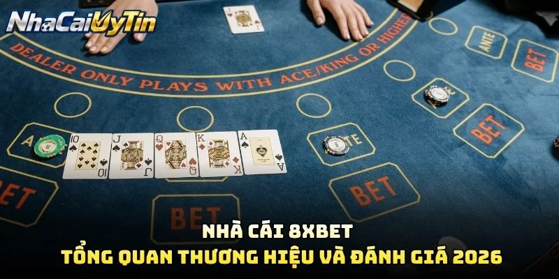 Nhà Cái 8XBET – Tổng Quan Thương Hiệu Và Đánh Giá 2026