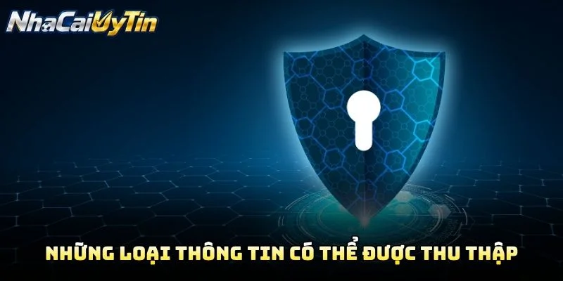 Những Loại Thông Tin Có Thể Được Thu Thập