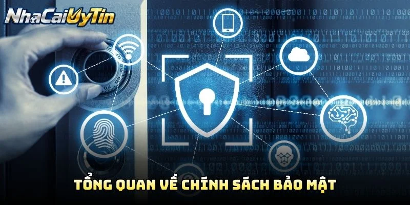 Tổng Quan Về Chính Sách Bảo Mật