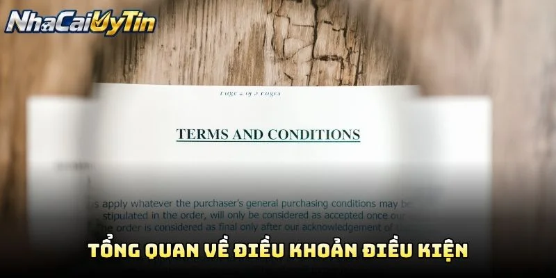 Tổng Quan Về Điều Khoản Điều Kiện Tổng Quan Về Điều Khoản Điều Kiện