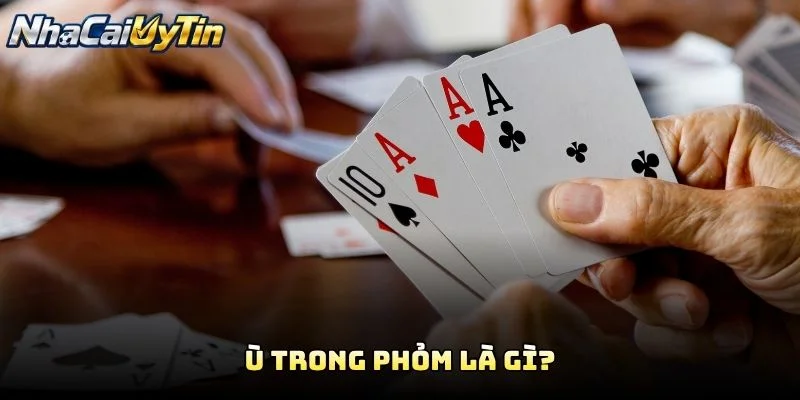 Ù Trong Phỏm Là Gì?