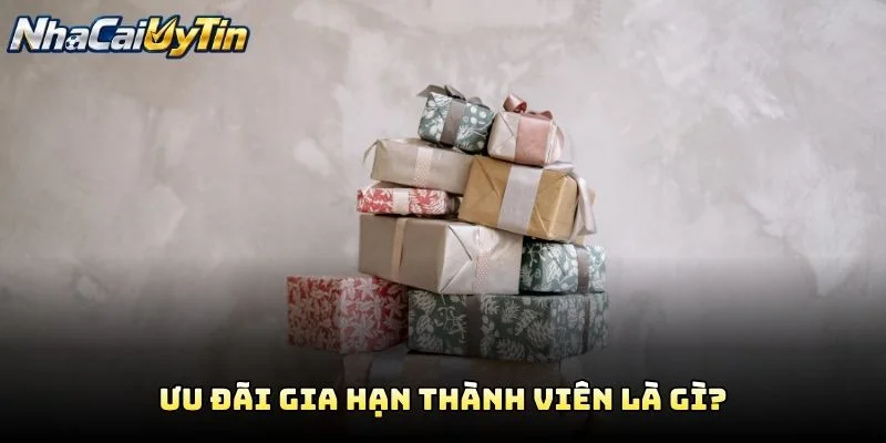 Ưu Đãi Gia Hạn Thành Viên Là Gì?