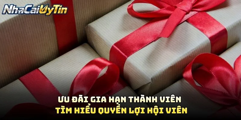 Ưu Đãi Gia Hạn Thành Viên – Tìm Hiểu Quyền Lợi Hội Viên