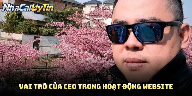 Vai Trò Của CEO Trong Hoạt Động Website